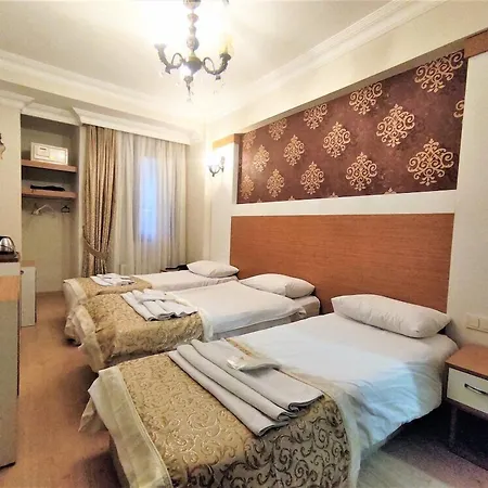 Отель Raimond 3*