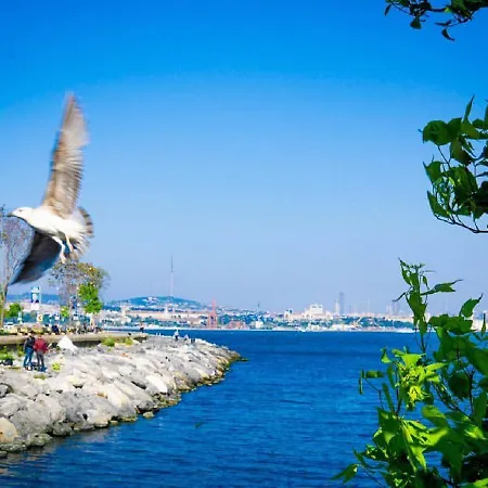 Raimond 3* Provincia di Istanbul