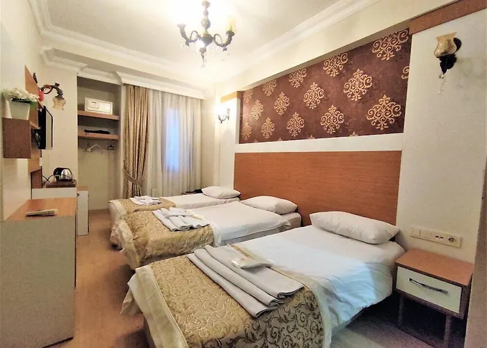 Отель Raimond 3*