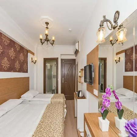 Raimond 3* Provincia di Istanbul